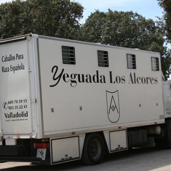 yeguadas pre valladolid yeguadas pre valladolid